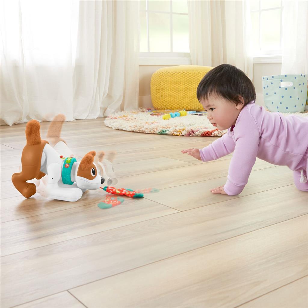 Fisher Price ramper avec moi chiot + lumière et son