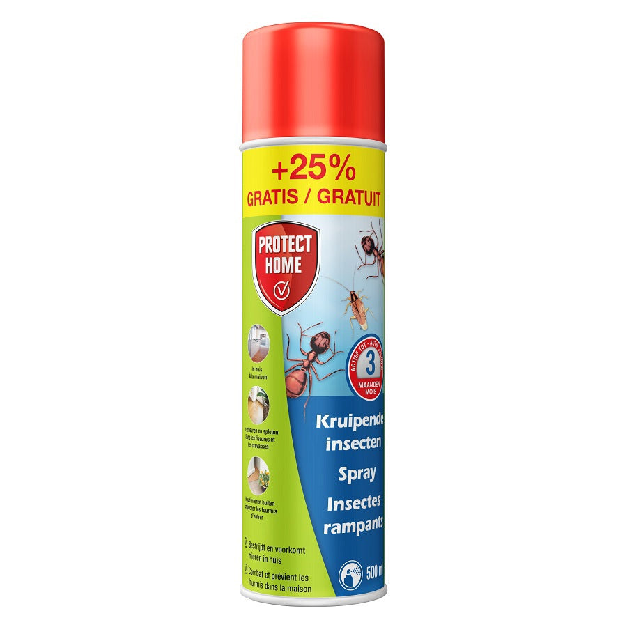 Protéger la maison à craquer insectes 500 ml