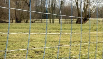 Ako filet à mouton titannet double épingle 145cm