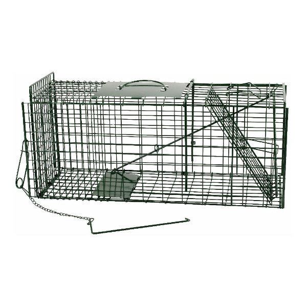 Ngk products live catcher vooi vert 67x24x315cm