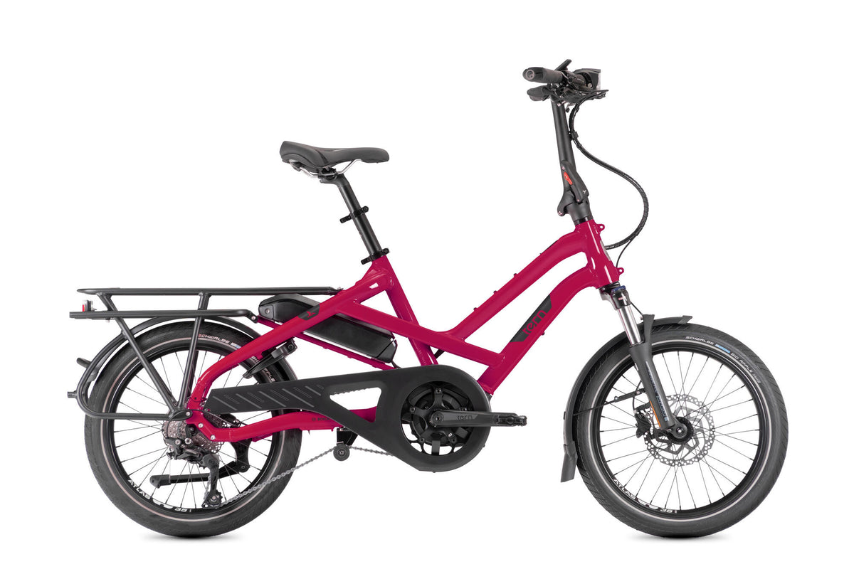 Stern ebike hsd p10 10sp drogonfruit