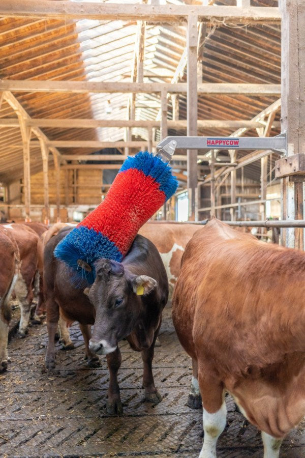 Brosse à bétail Happycow freemaxi