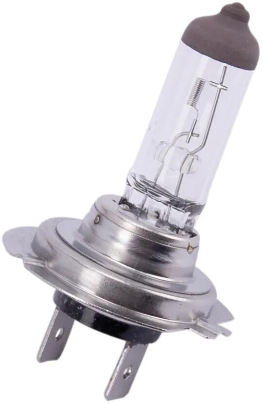 Spahn Headlight Bulbe 12V 55W H7 Longlife PX26D