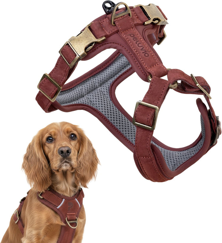 Peluvio Lord - Harnais pour chien en cuir - Taille M - Harnais de protection ergonomique en cuir naturel - Contrôle du confort - Boucles en cuivre durables