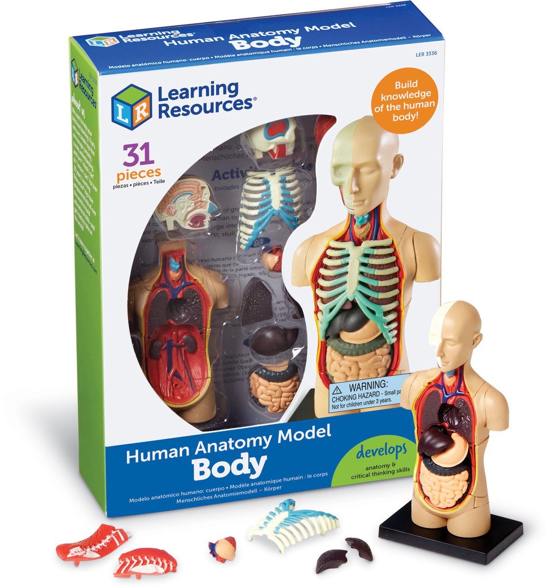 Modèle d'anatomie des ressources d'apprentissage - corps humain - 3+