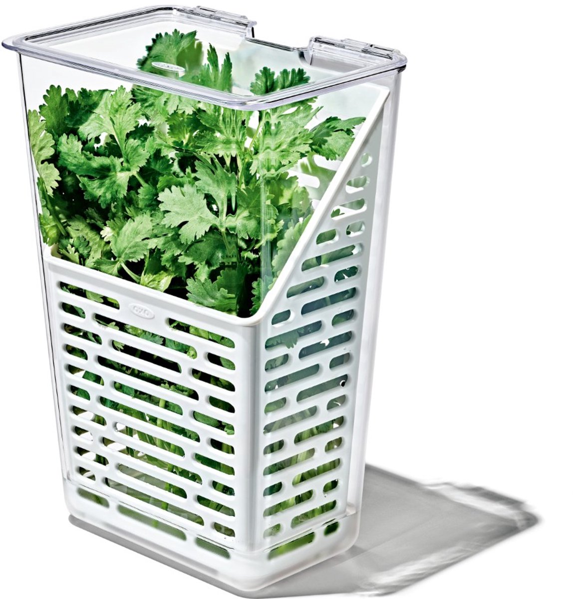 Oxo - boîte de produits frais - herbes