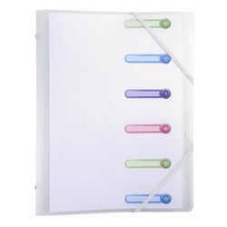 Dossier de tri exacompta 56177e a4 givré