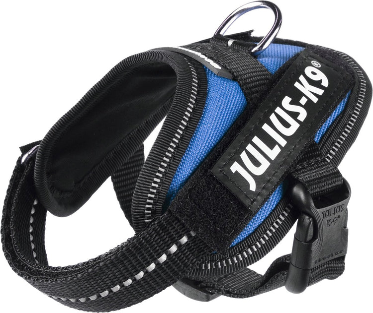 Julius k9 julius-k9 harnais de puissance idc - 3xs - baby1 - bleu azur