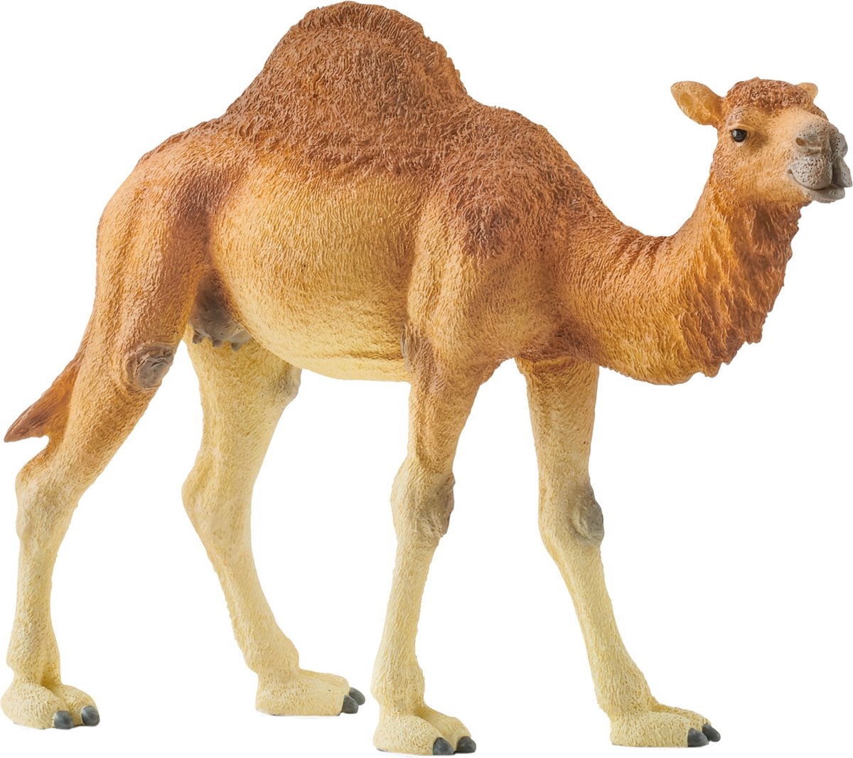 Schleich Wild Life Dromedaris 14832