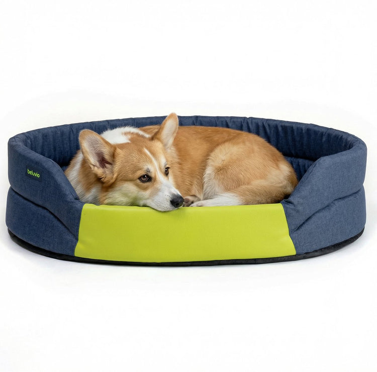 Peluvio arita – lit pour chien hydrofuge – lit pour chien résistant aux taches – taille m – fond antidérapant – léger, adapté aux voyages – entrée basse sans bords – mousse durable – faible odeur facile à nettoyer – confort pour chaque chien
