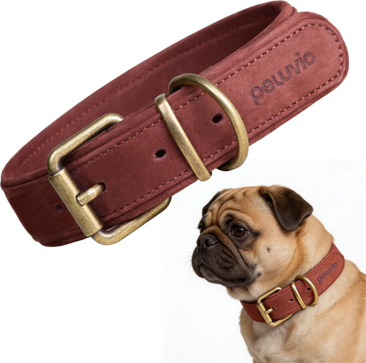Peluvio rexor – collier pour chien en cuir – marron – s 26,5-34 cm – 2,5 cm de large – collier réglable en cuir de vachette – boucle en cuivre – pour petits chiens