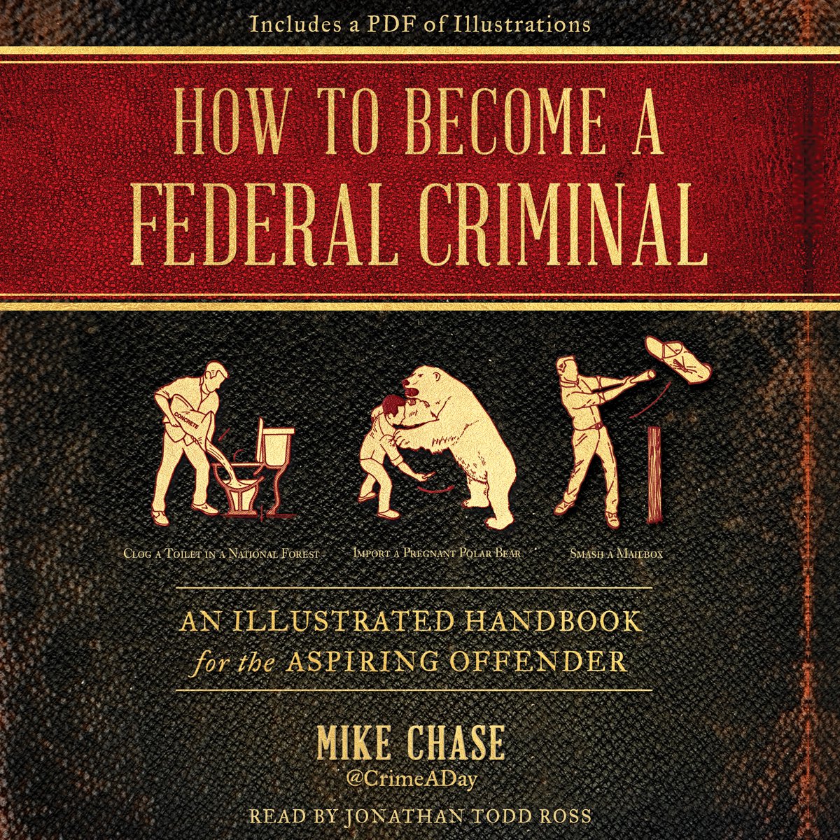Comment devenir un criminel fédéral