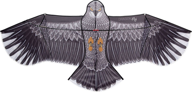 Cerf-volant libellule - aigle - gris noir - 180 x 80 cm - à partir de 6 ans