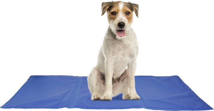 Tapis rafraîchissant Flamingo pour chien – Frosty – tapis rafraîchissant pour chiens – tapis rafraîchissant pour chat – tapis rafraîchissant pour chiens – tapis rafraîchissant pour chats – 70 x 50 cm – bleu