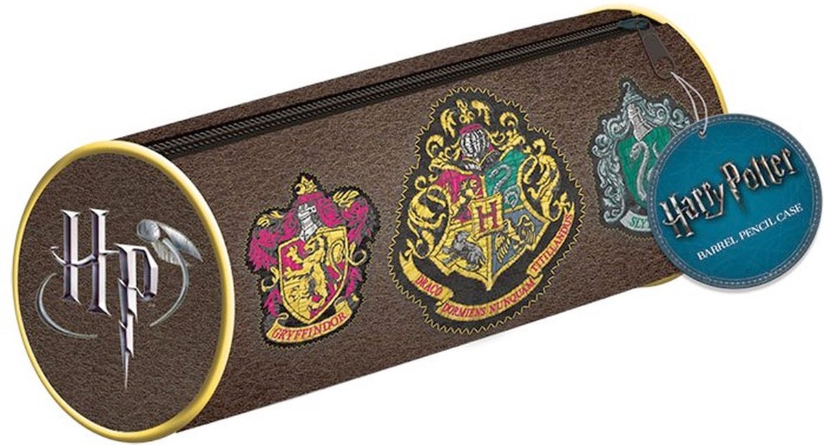Pochette écusson Harry Potter multicolore