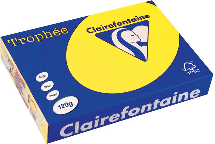 Papier de couleur Clairefontaine jaune 120 g 21x29,5 cm - uni
