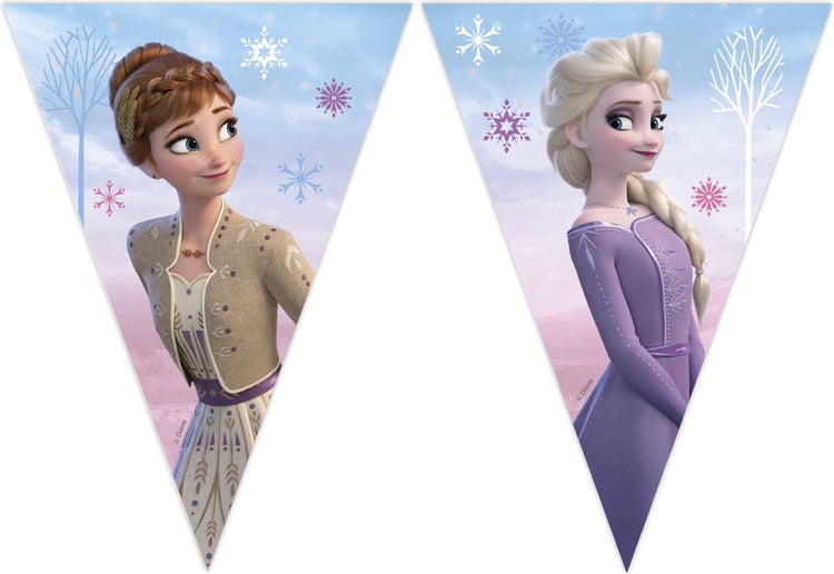 Ligne de drapeau en papier fsc Frozen 2 vent Spirti, 3mtr.