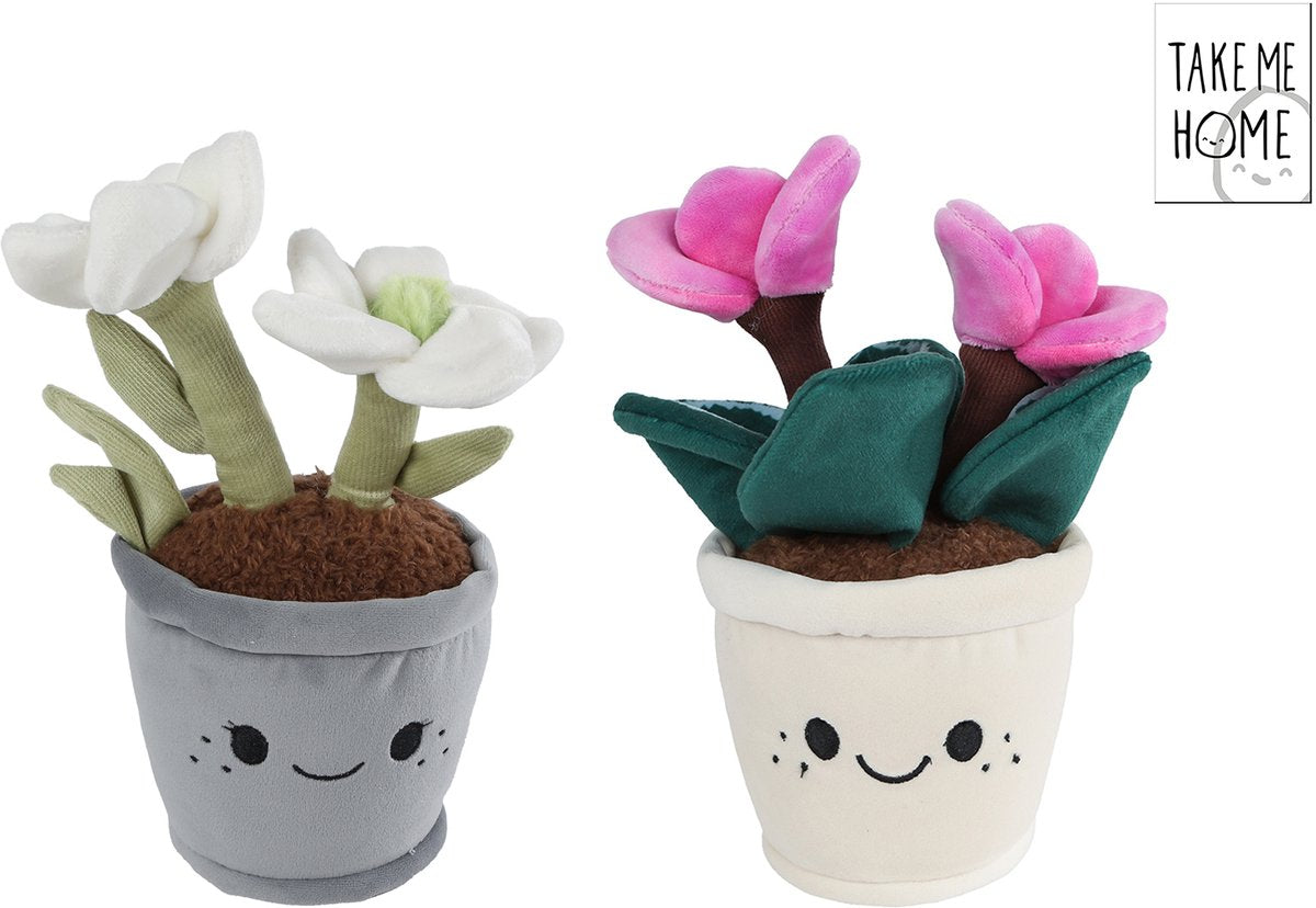 Peluche plante Take me home l Rose de Noël - 24cm
