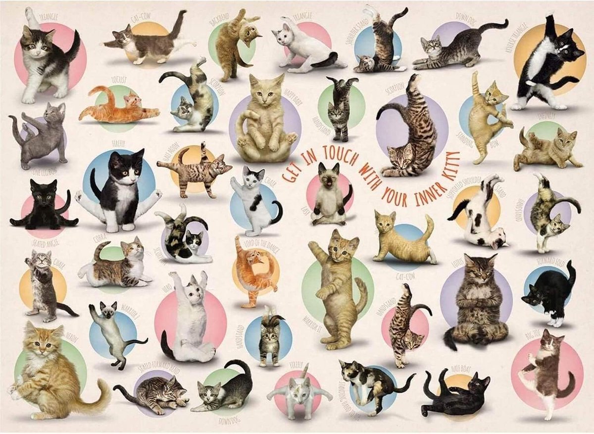 Puzzle Chatons de yoga Eurographics (500 pièces)