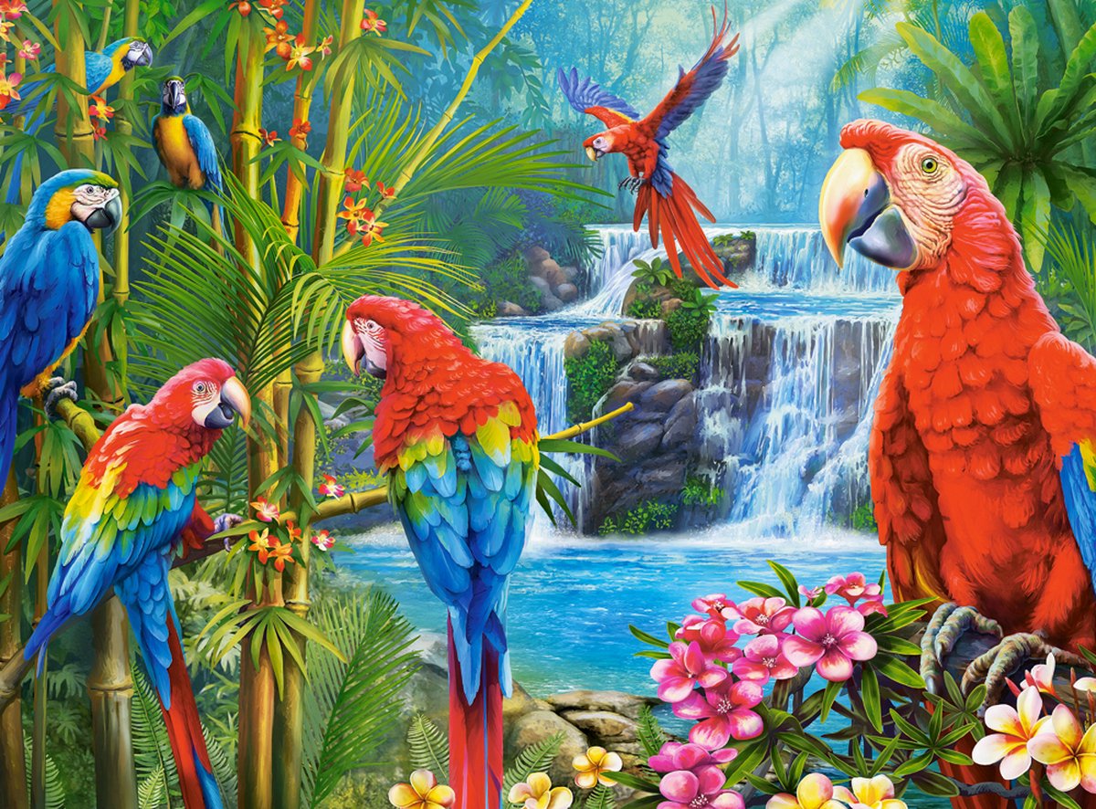 Puzzle Castorland Rencontre de perroquets - Puzzle 2000 pièces.