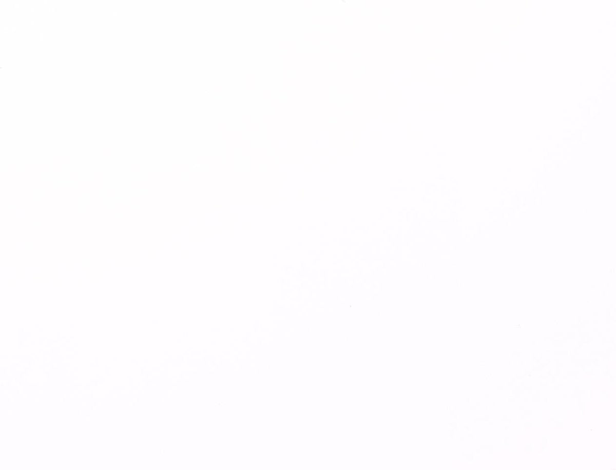 Carton Florence - blanc lisse - 305x305mm - texture lisse - 216g