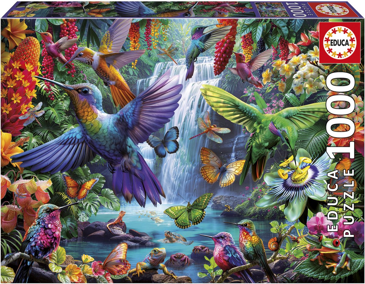 Educa - puzzle - colibris tropicaux - 1000 pièces - puzzle