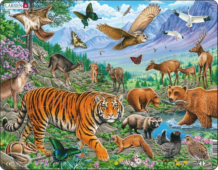 Larsen Animaux sauvages en été sibérien - Puzzle - Animaux - Animaux sauvages - Puzzle éducatif pour enfants - 36 pièces - Fabriqué en Norvège - Pièces extra épaisses de 2,5 mm - Plateau avec bord fixe