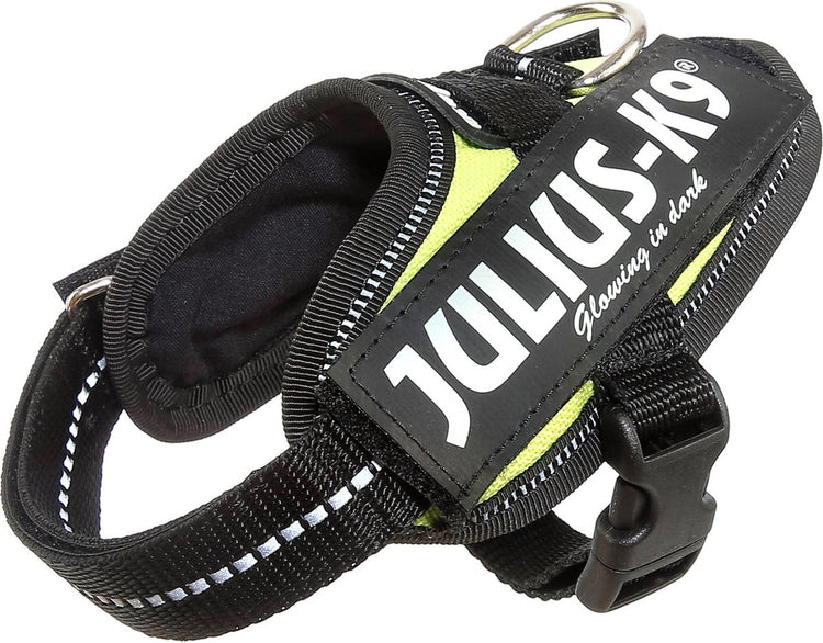 Julius k9 julius-k9 idc®power harnais, 3xs - baby1, néon