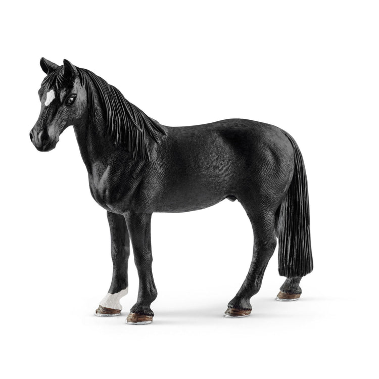 Schleich Horse Club Tennessee Hengst 13832