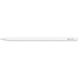 Apple crayon pro