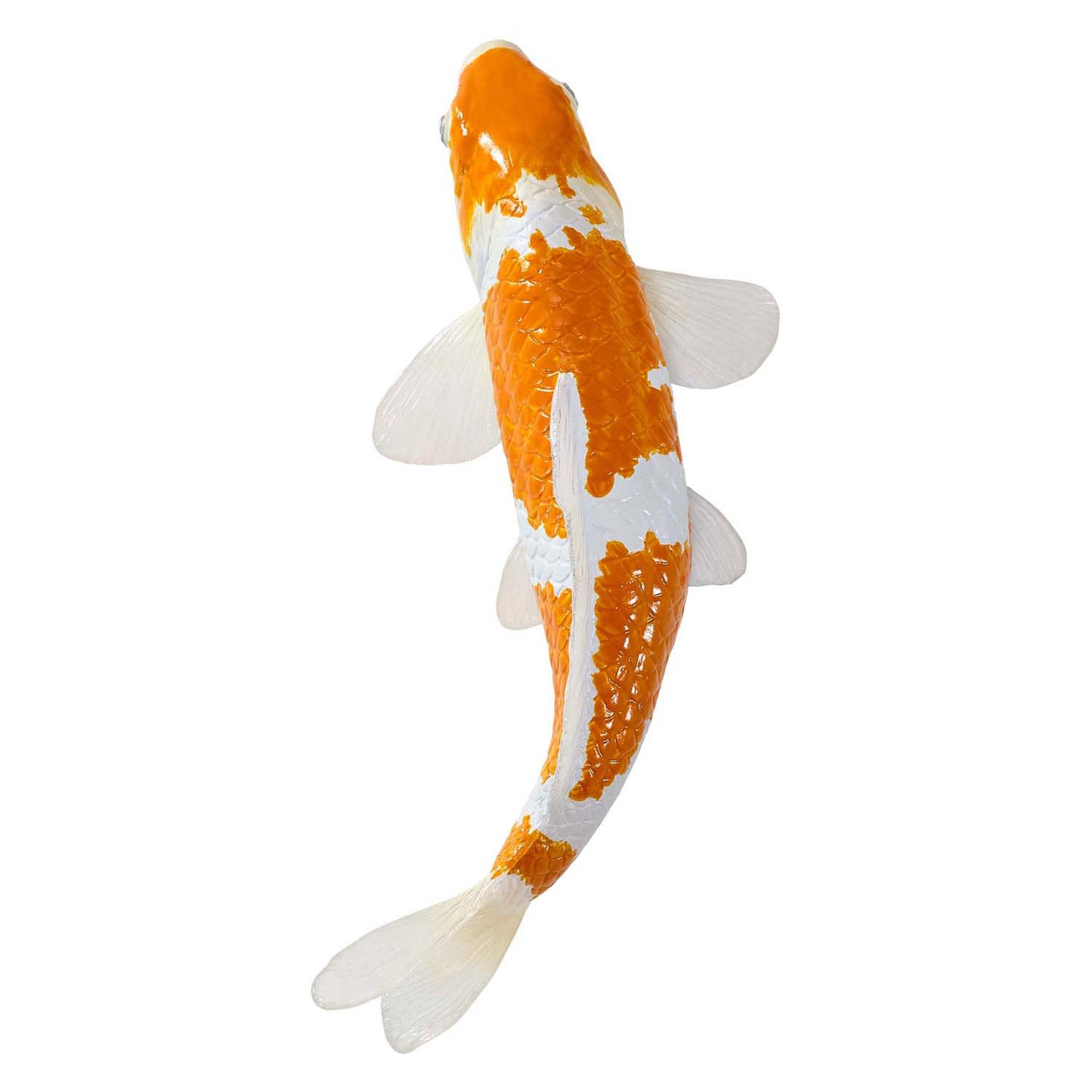 Mojo Seallife Koi Carp - Ochiba Shigure Koi - 381104