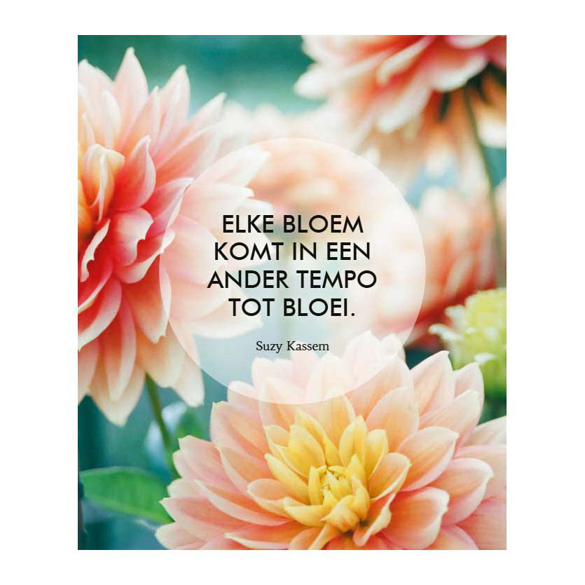 Les Deltas, croyez en vous ! - 52 cartes d'inspiration