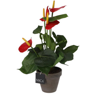 Plante artificielle anthurium rouge dans le pot