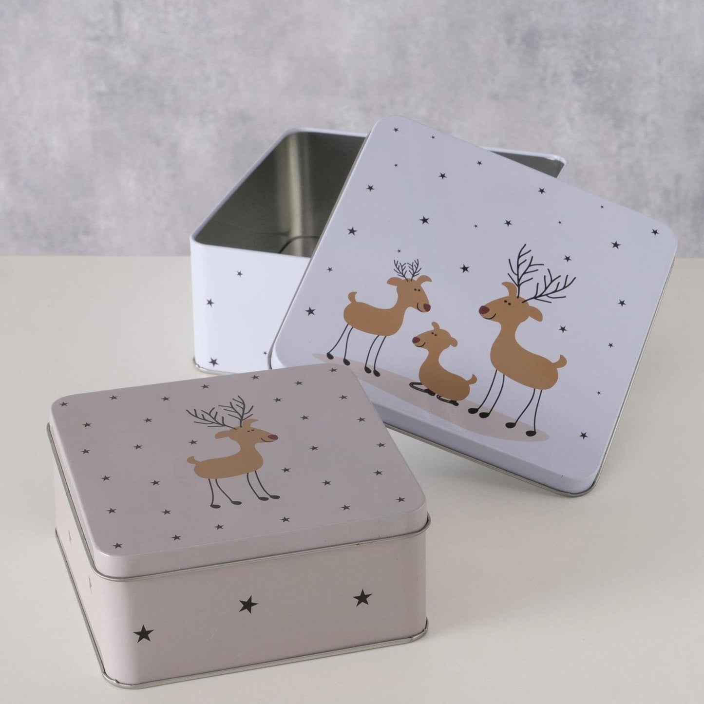 Ensemble de boîtes de rangement Boltze Home 2 pièces