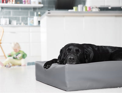Bia Dog Basket Original Grey