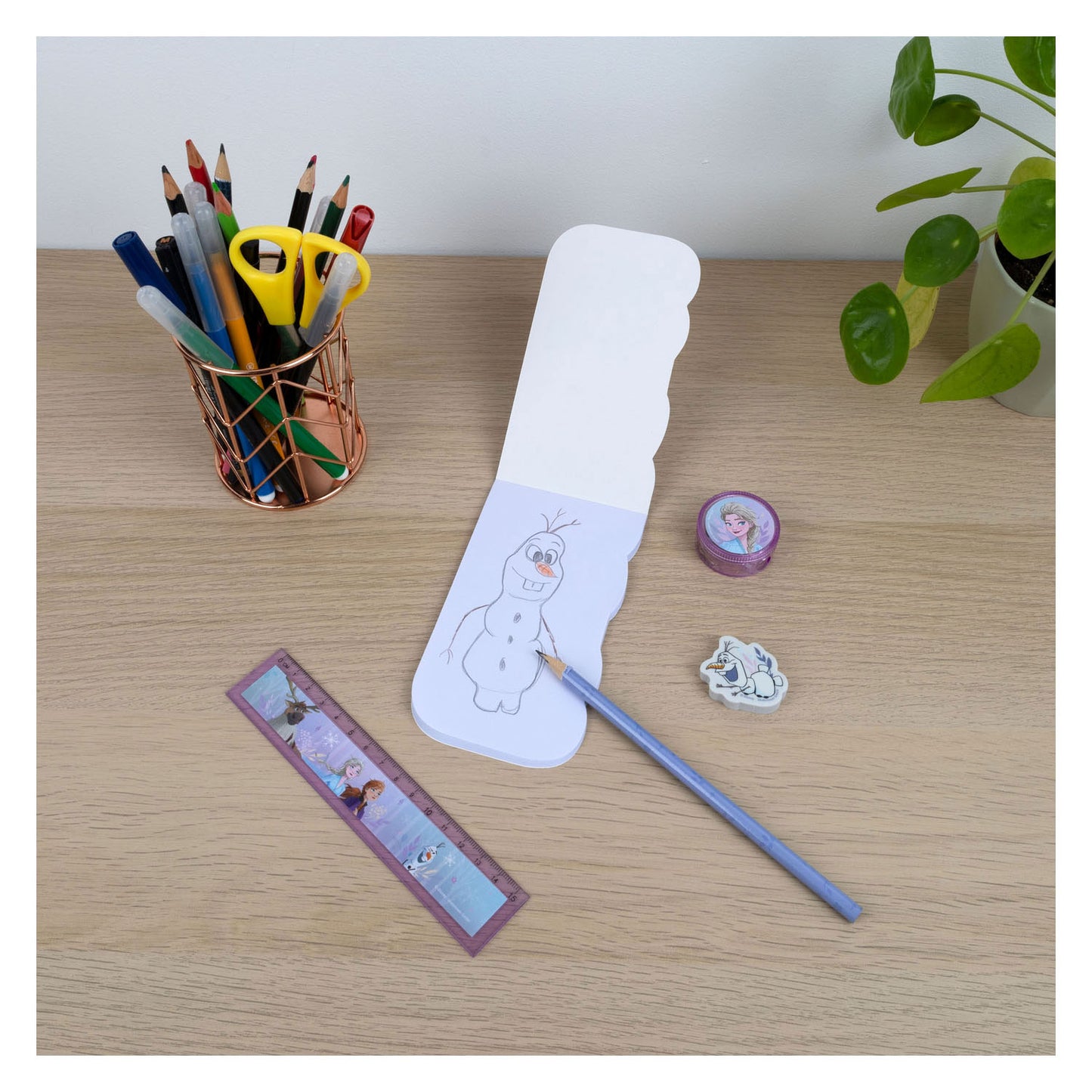 Ensemble d'écriture secrète Frozen, 5dlg.