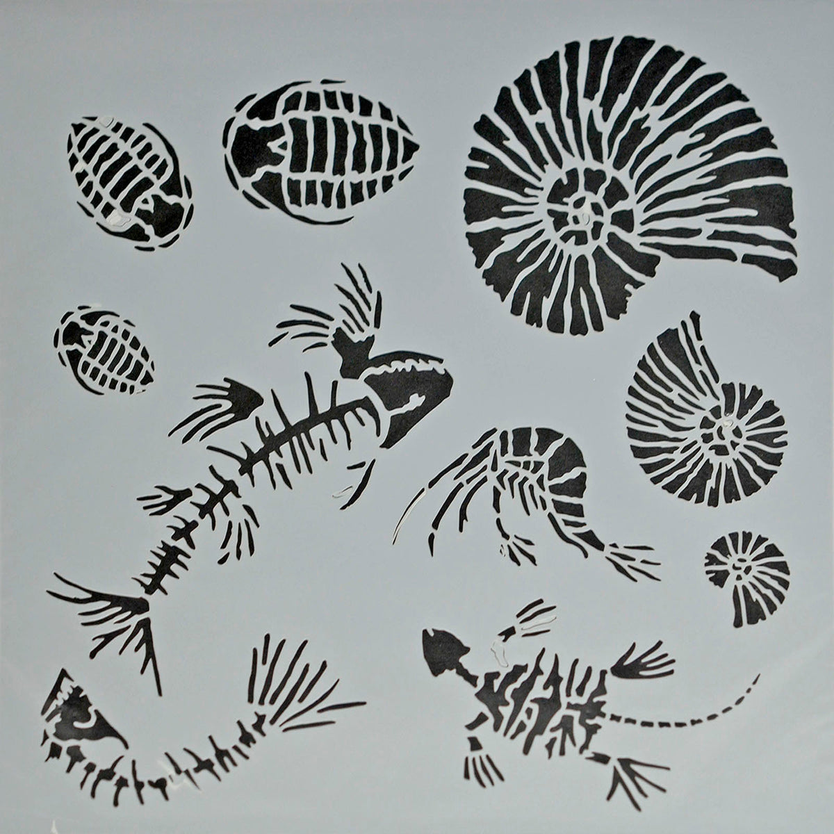Powertex • pochoir fossilisé