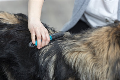 Trixie Coat Waters Curbed Dents