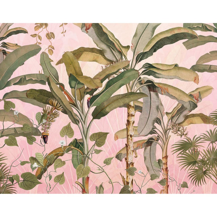 Plantation de papier peint Komar Komar Photo 350x270 cm