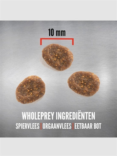 Orijen entier proie 6 chats de poisson
