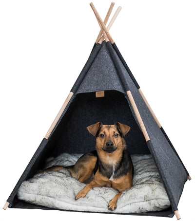 Trixie cachette de la cachette Tipi sentait l'anthracite