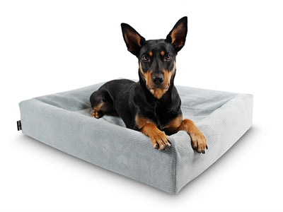 Bia lib rib hoes hondmand gris