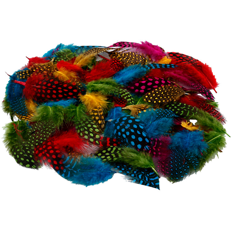 Plumes de pintade Creativ company, env. 1500 pièces, différentes couleurs, 50 gr 1 boîte