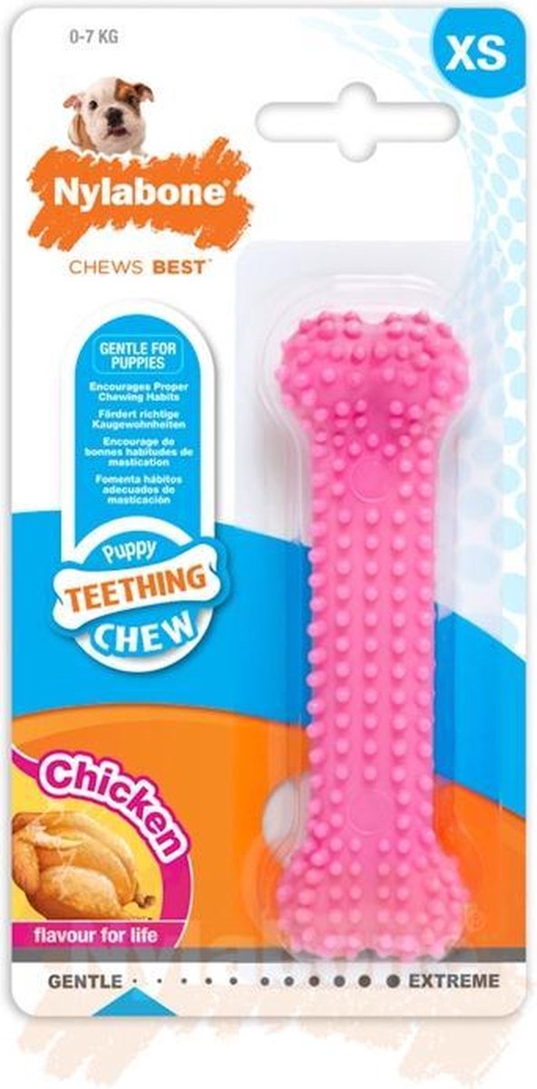 Nylabone os de chiot dentaire saveur de poulet rose xs