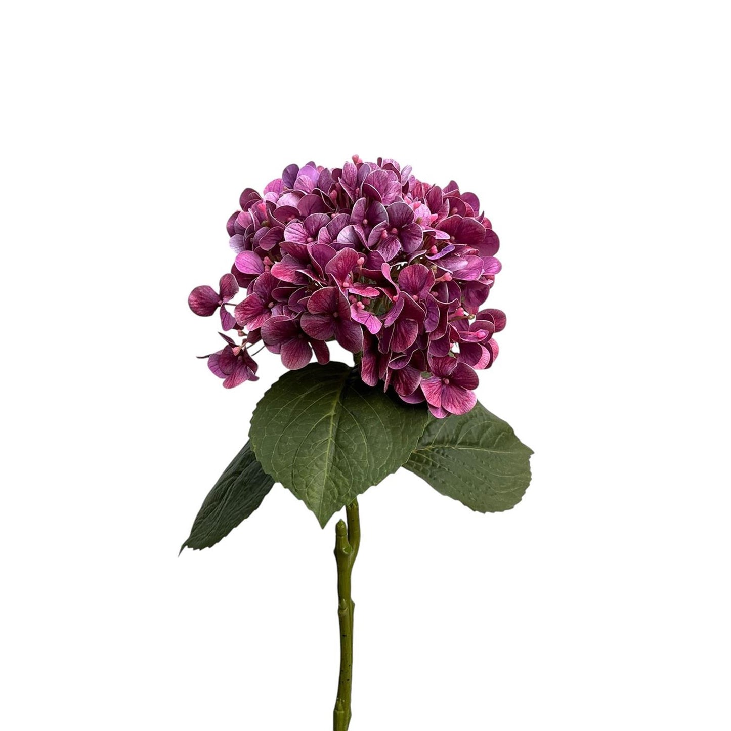 Roberts collection hortensia real touch 75cm violet