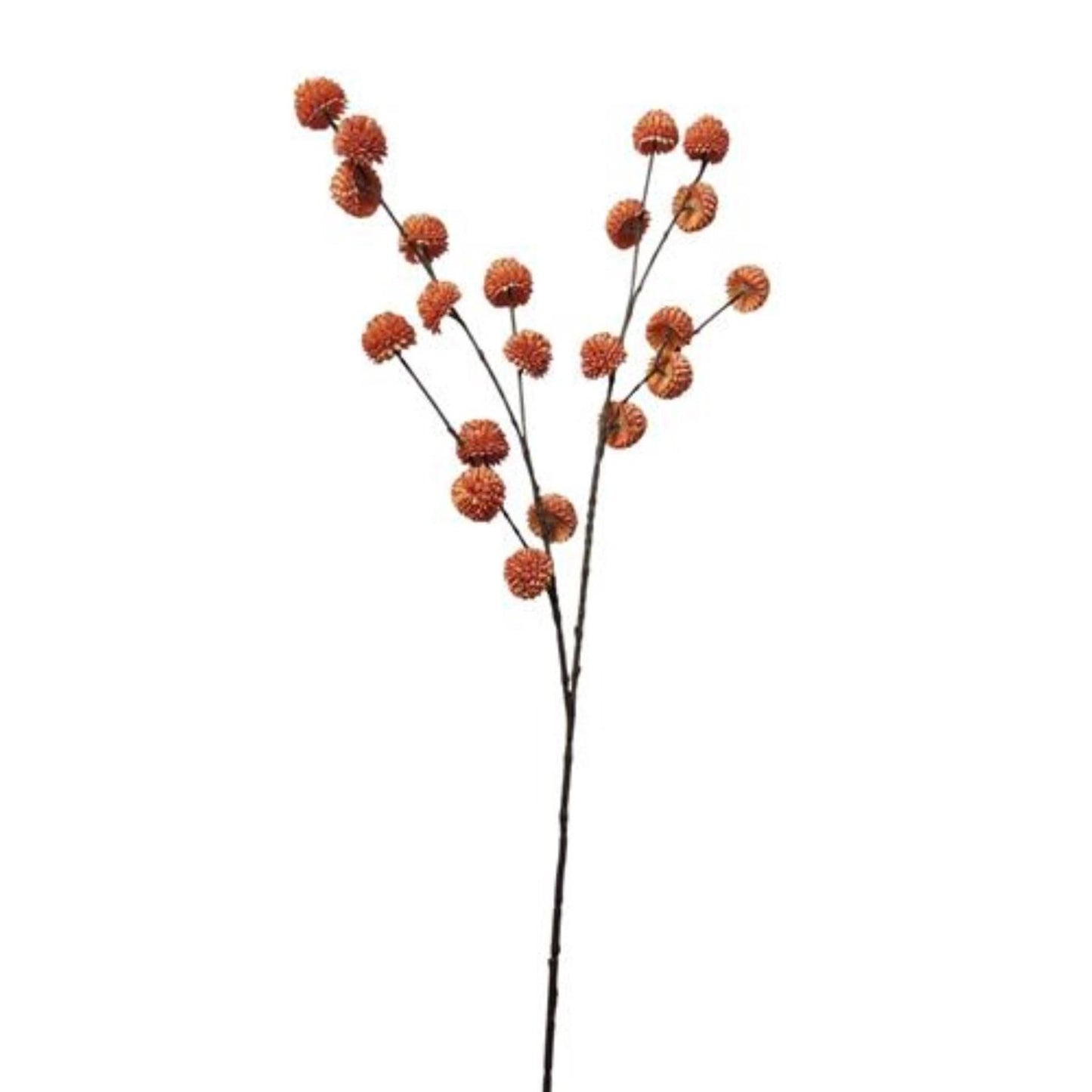 Roberts collection pompon branche artificielle orange 100cm