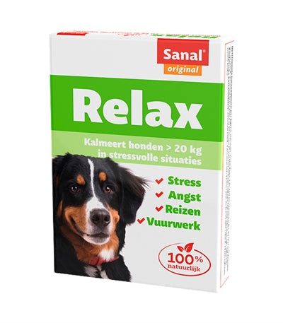 Chien sanal détend une tablette apaisante grande