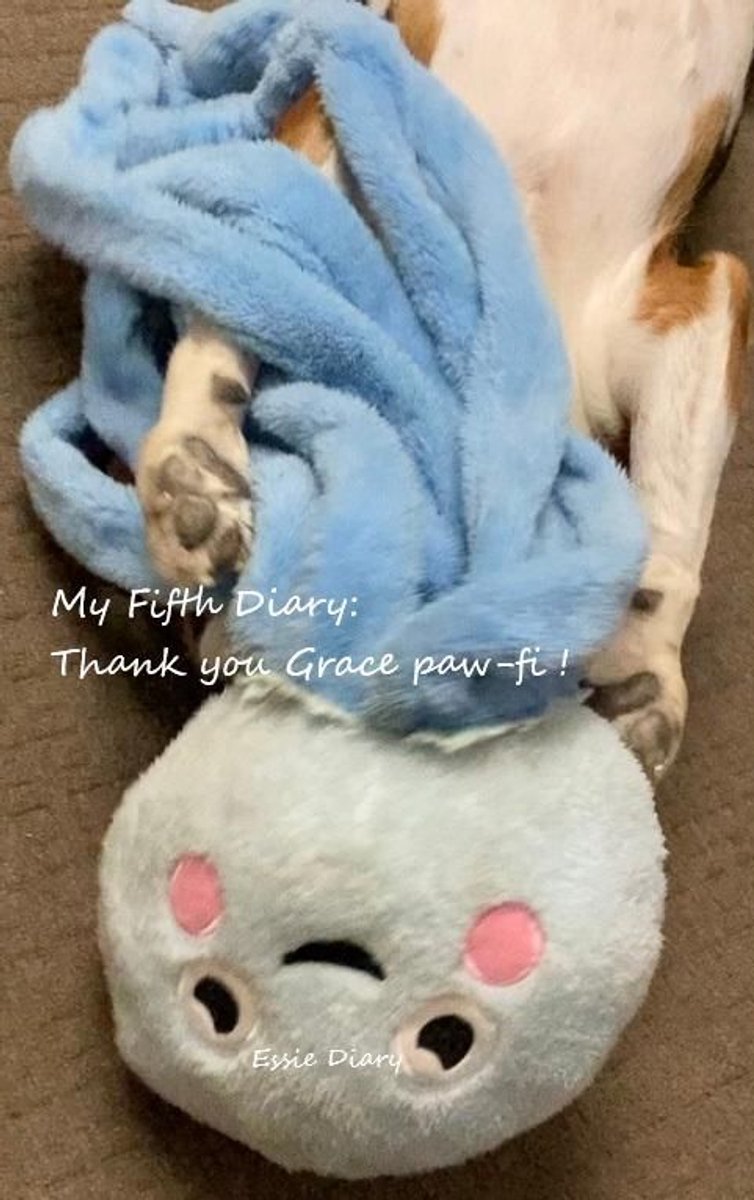 Mon cinquième journal : merci Grace Paw-Fi !