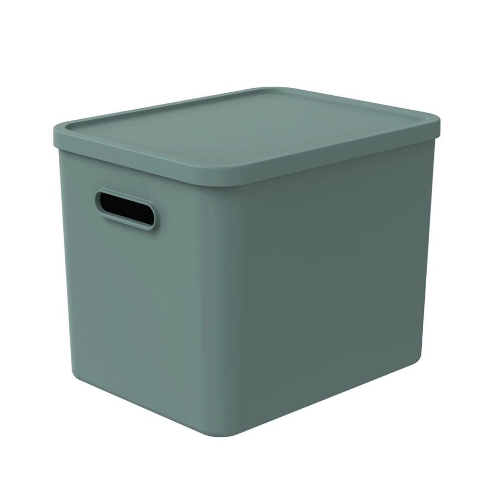 Rotho albula multibox 29,5x29x37 cm 27l vert gui