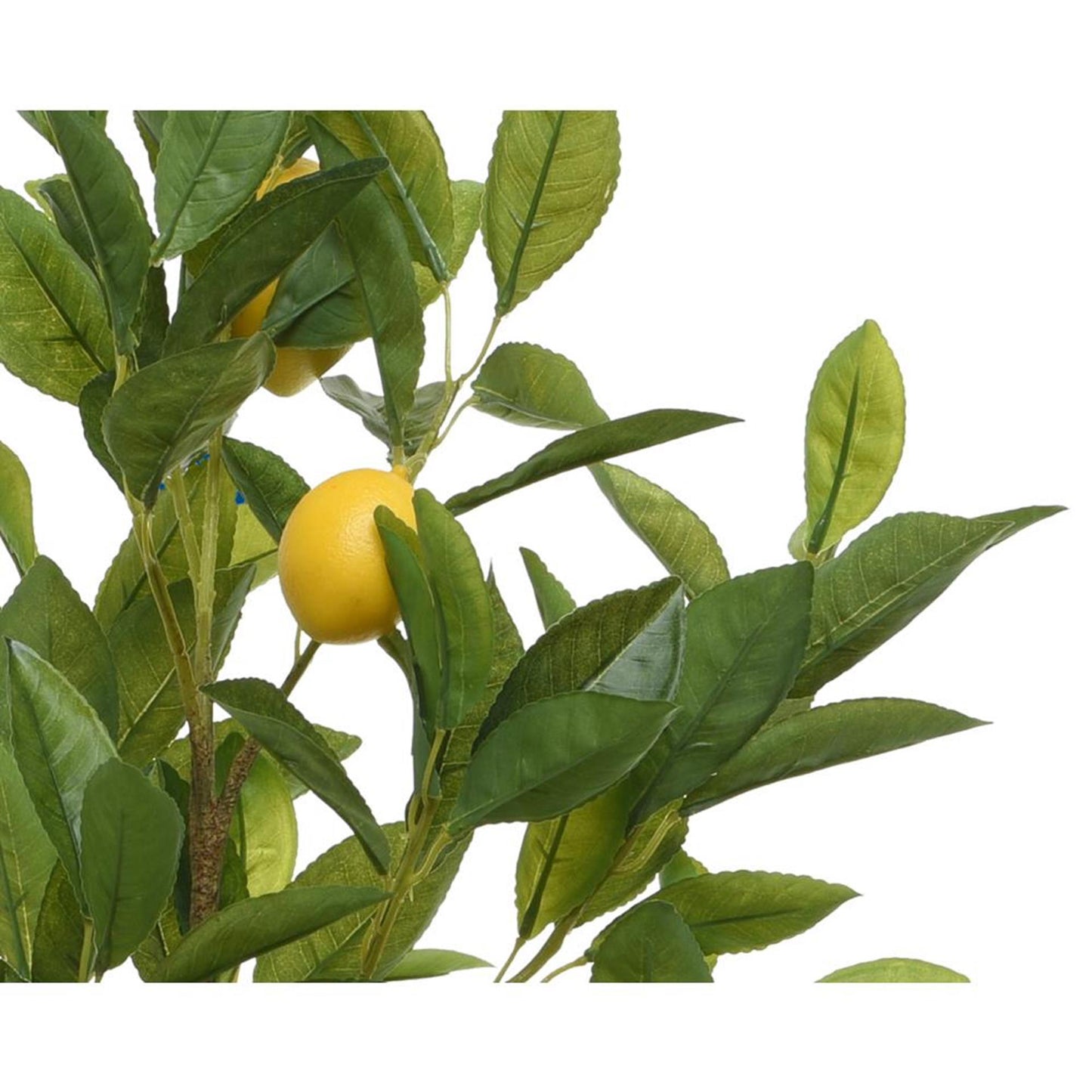 Decoris plante artificielle citron 35x25x92cm